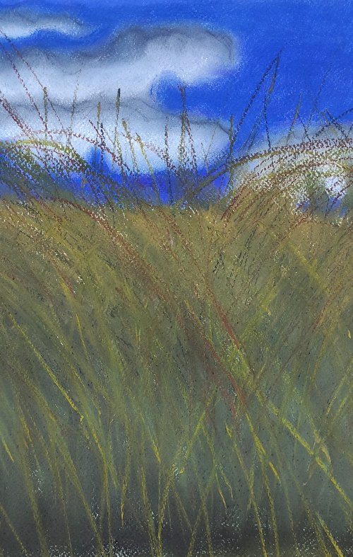 The Edge Of The Rice Field by Andrea Vandoni