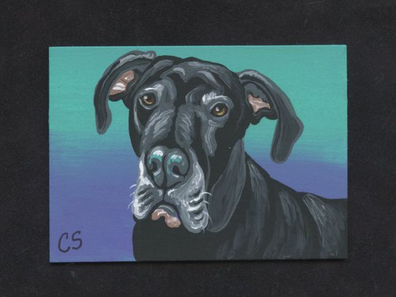 ACEO ATC Original Painting Great Dane Pet Dog Art-Carla Smale