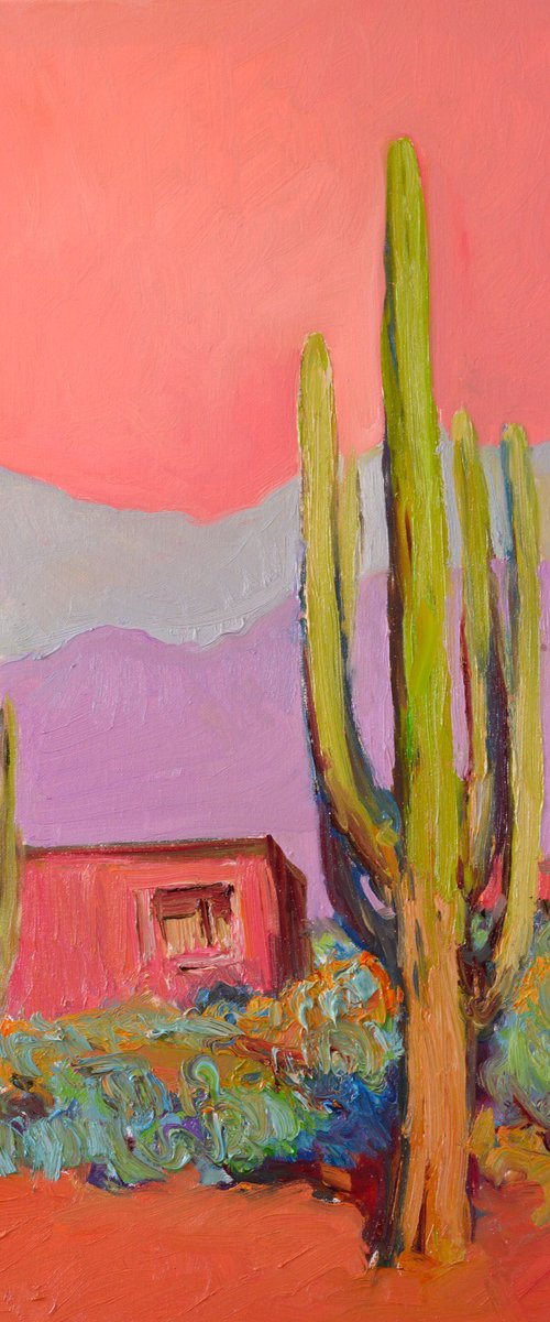 Pink House and Saguaros by Suren Nersisyan