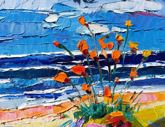 Poppies on the coast