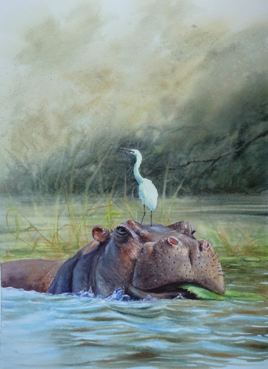 Hippo & Egret - Hippopotamus by Olga Beliaeva Watercolour