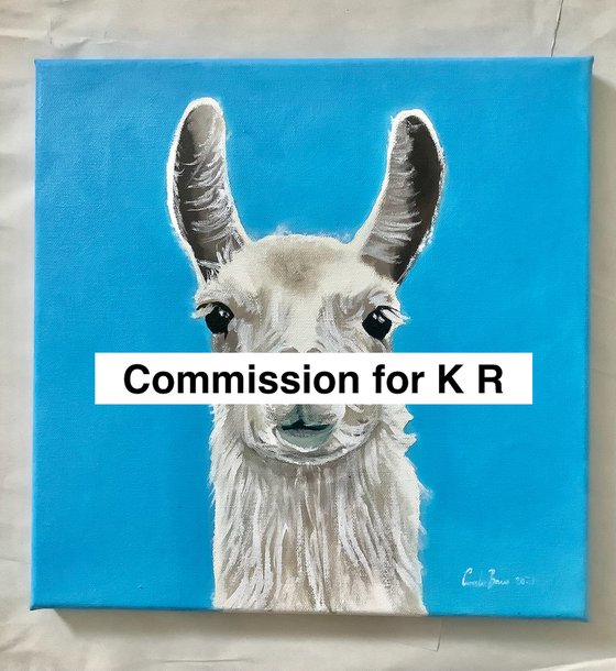 Commission for K R