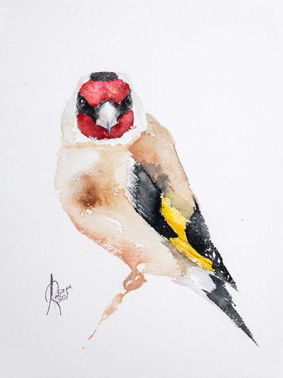 Goldfinch