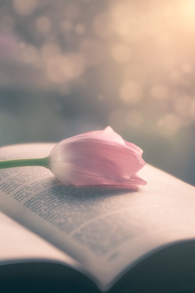 Impressionistic Botanical Photograph By Paul Nash, 16 X 24", The Romantic Novel, Original Artwork