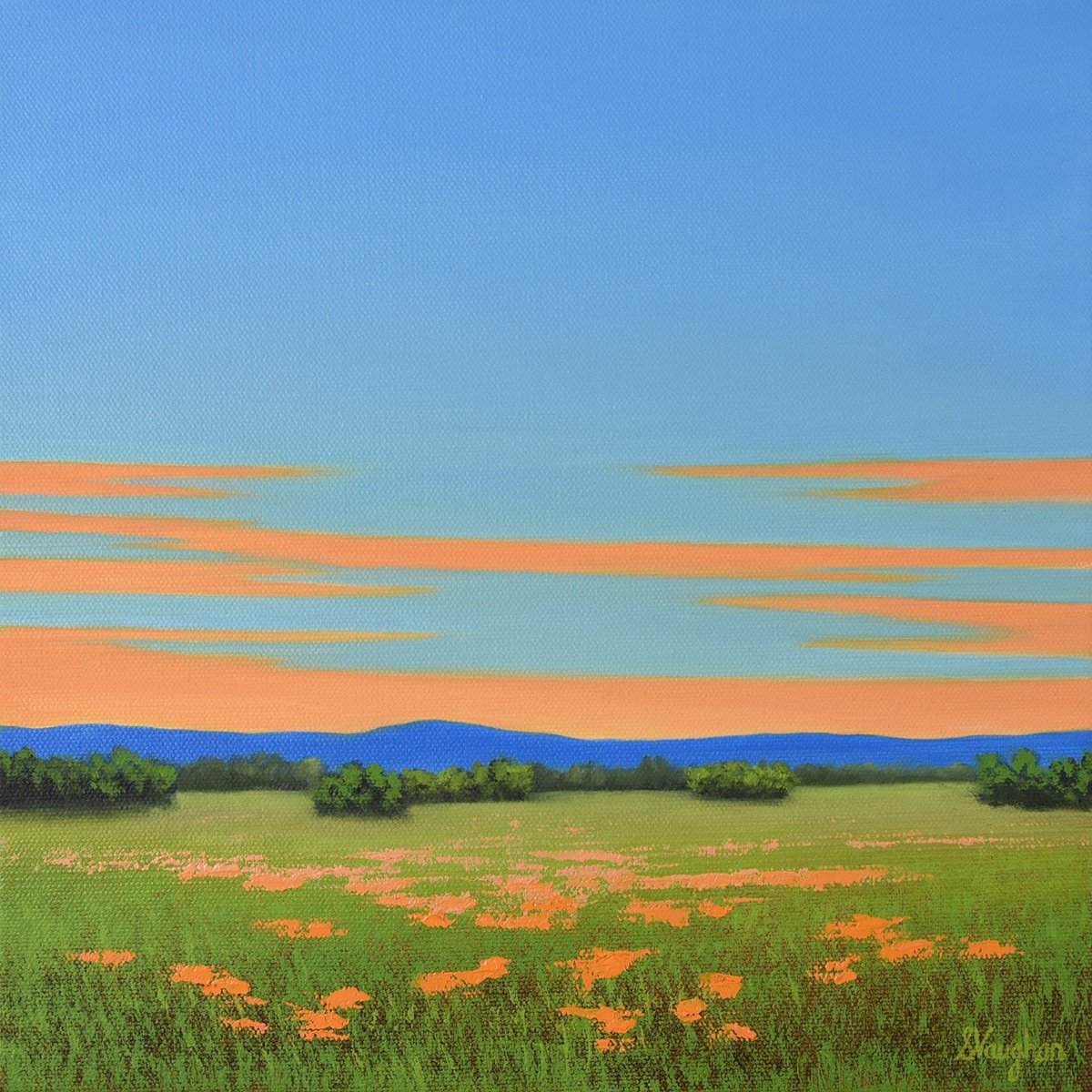 Impressionistic Landscape Oil Painting By Suzanne Vaughan, 12 X 12", Orange Poppies, Original Artwork