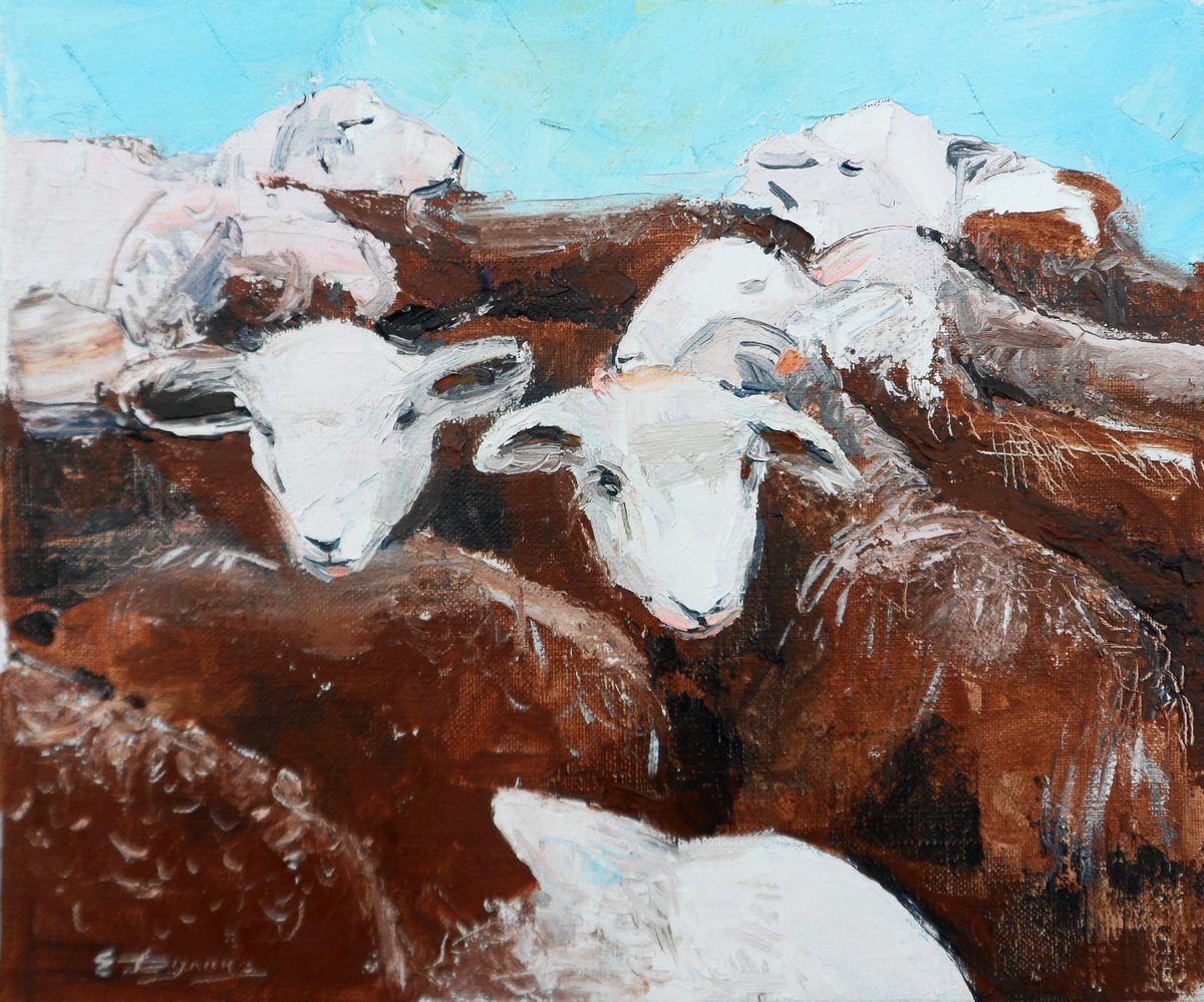 Scottish Sheep by Yehor Dulin