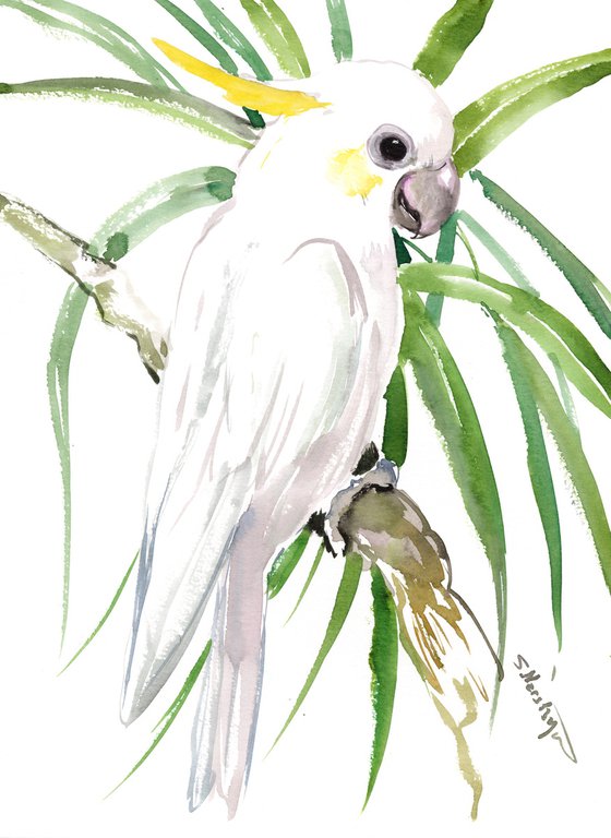 Cockatoo, Watercolor Parrot Painting