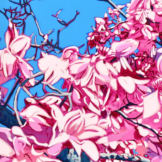 Pink Magnolia Blossom