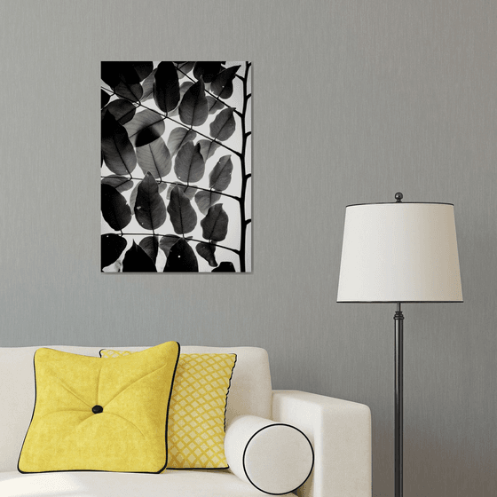 Branches and Leaves III | Limited Edition Fine Art Print 1 of 10 | 40 x 60 cm