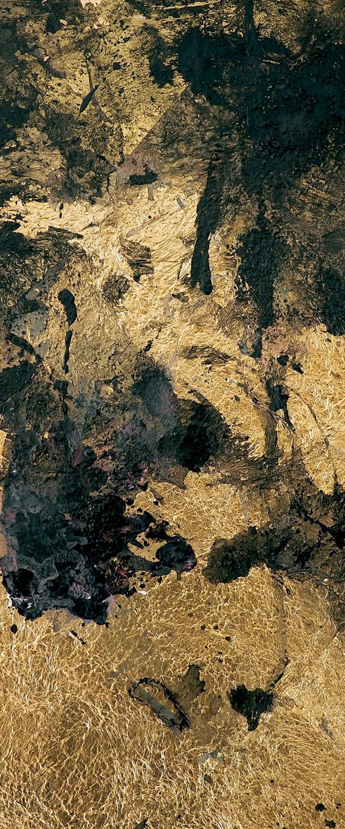 Obsidian Gold by Davina Nicholas