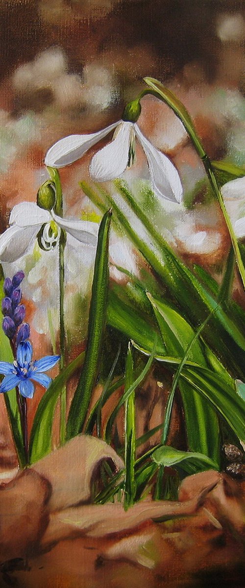 Snowdrop, Realistic Wall Art, Spring flowers, Bluebell Art Nature canvas, Flower Lover Gift by Natalia Shaykina