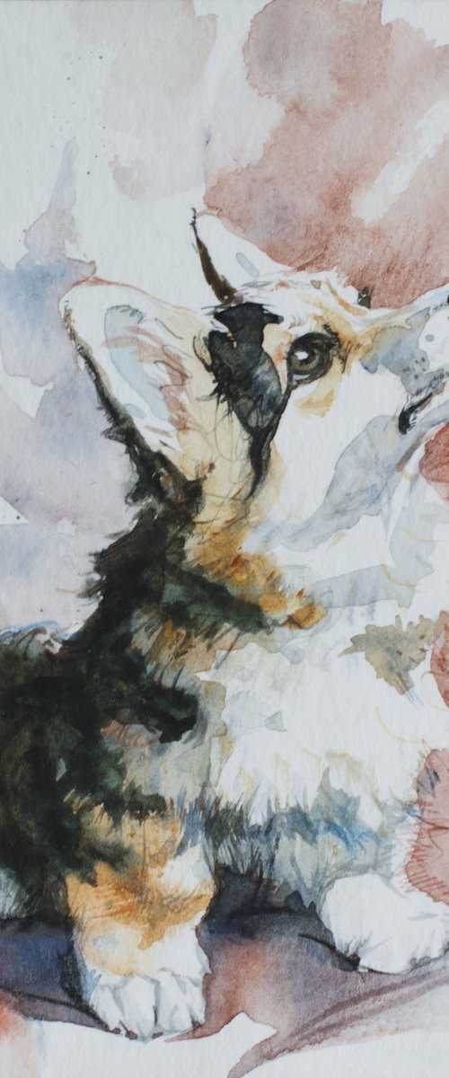 Pembroke Welsh Corgi by Marina Skepner