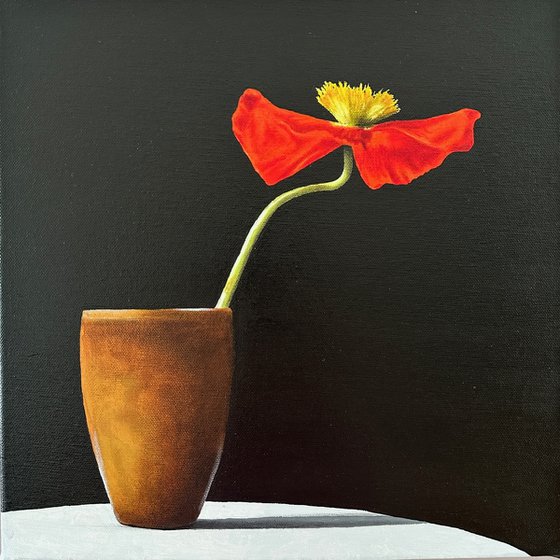 Ikebana: Poppy