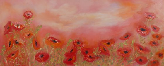 red hot poppies