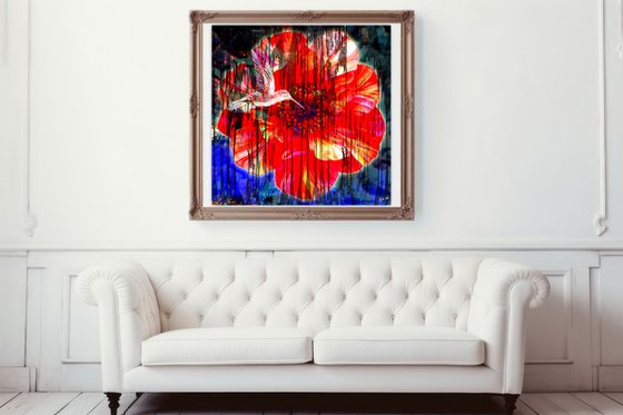 Flower and Colibri