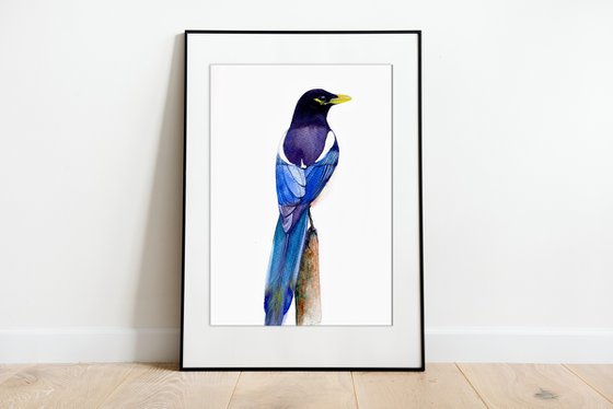 Magpie-the rainbow bird with watercolor magic in artistic realism