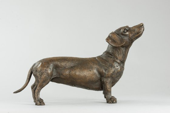 'Maddie' Dachshund Bronze Res