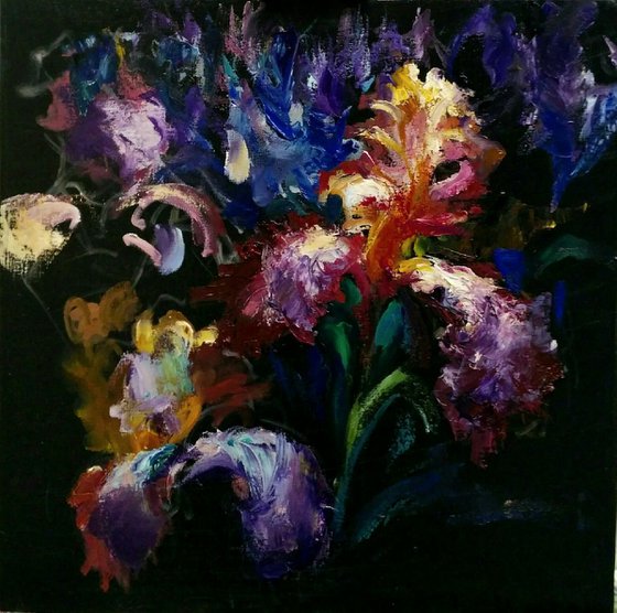 Irises on the black background