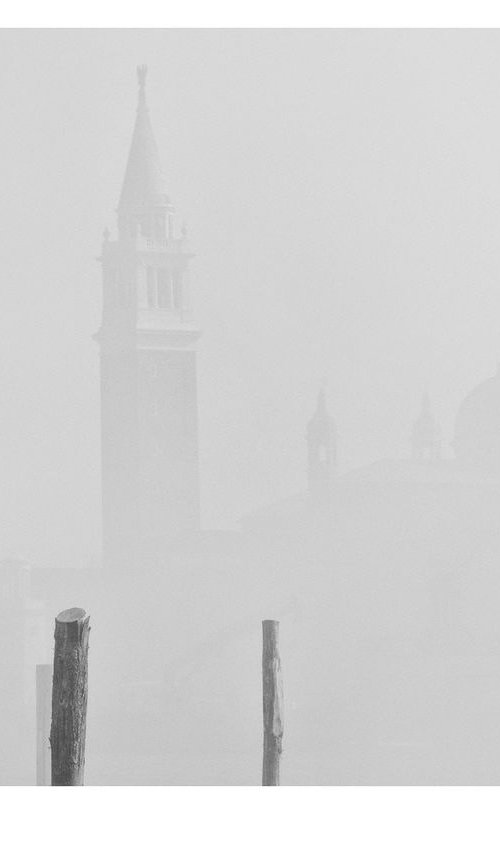 Gabbiano nella nebbia by Matteo Chinellato