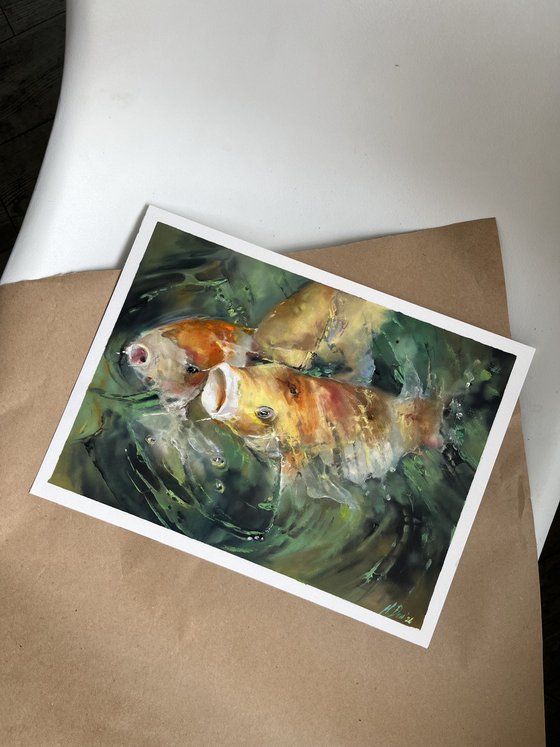 Turquoise Water Sunlight Koi Fishes