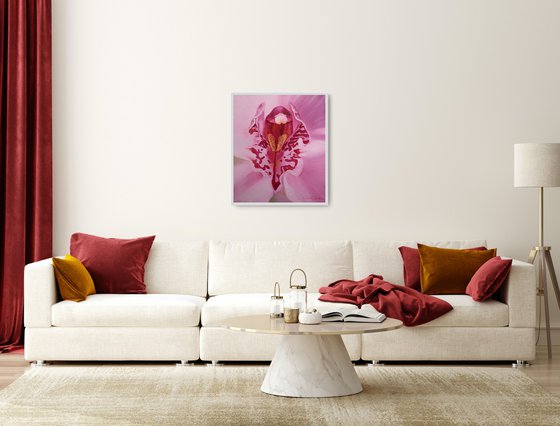 Orchid - a flower of femininity and passion, number 2