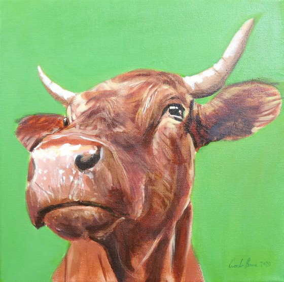 Cow close up painting green background