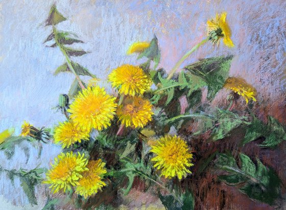 Dandelions 1´26