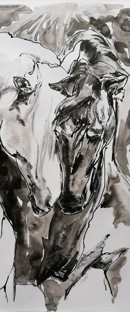 Whisper by Jelena Djokic