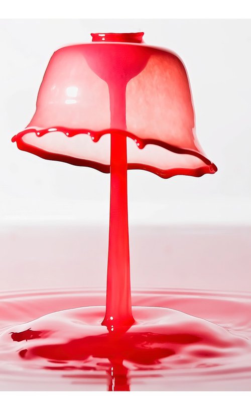 'Gossamer Protection' - Liquid Art Waterdrop Collection by Michael McHugh