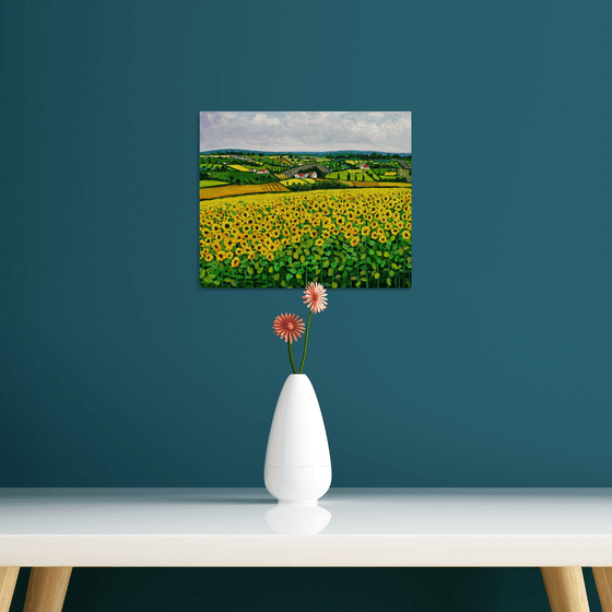 Far away lavender fields
