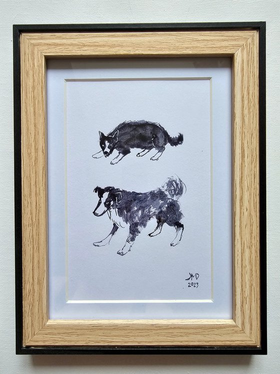 A couple of dogs and a pup