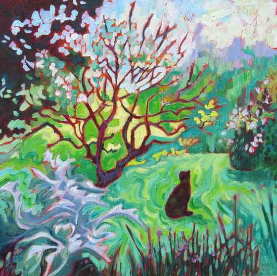 Black Cat , Garden Landscape