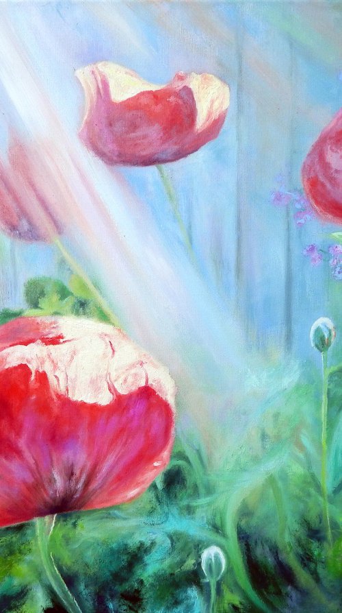 Poppies in the garden by Richard Freer