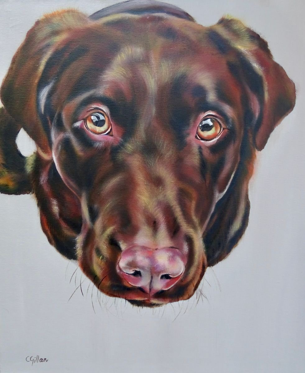 Biscuit? Red Labrador Retriever original oil on box canvas by Carol Gillan