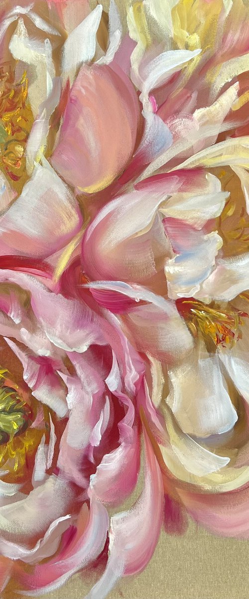 Sunny peonies by Olena Hromova