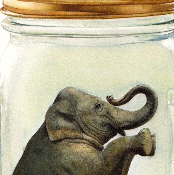 Elephant in Jar III