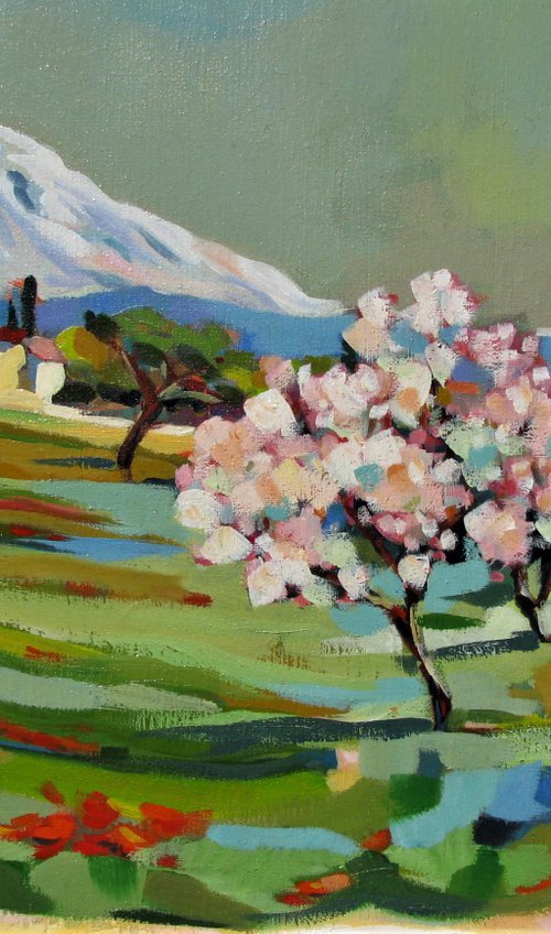 Spring in French Catalunya by Jean-Noël Le Junter