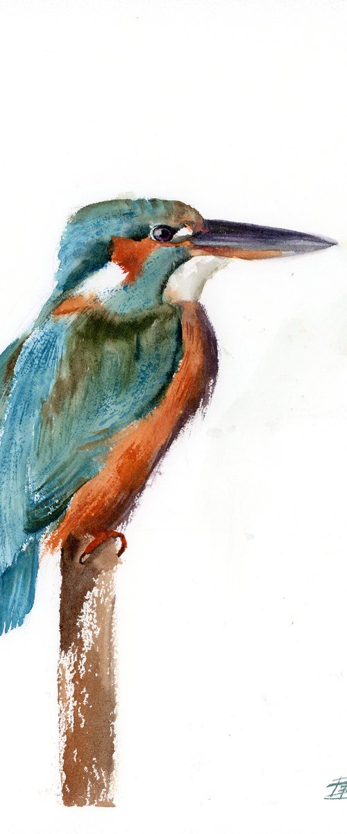 Kingfisher  -  Original Watercolor Painting by Olga Shefranov by Olga Tchefranov (Shefranov)