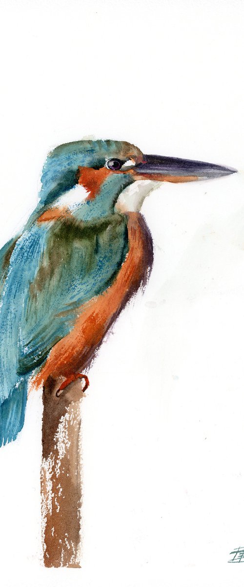 Kingfisher by Olga Tchefranov (Shefranov)