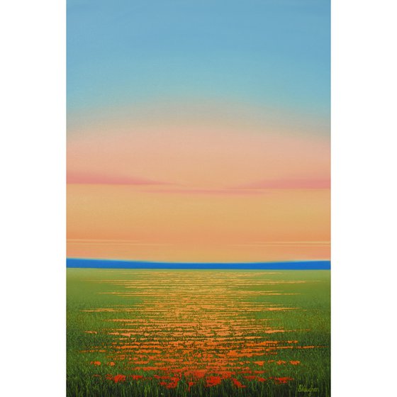 Colorful Flowers