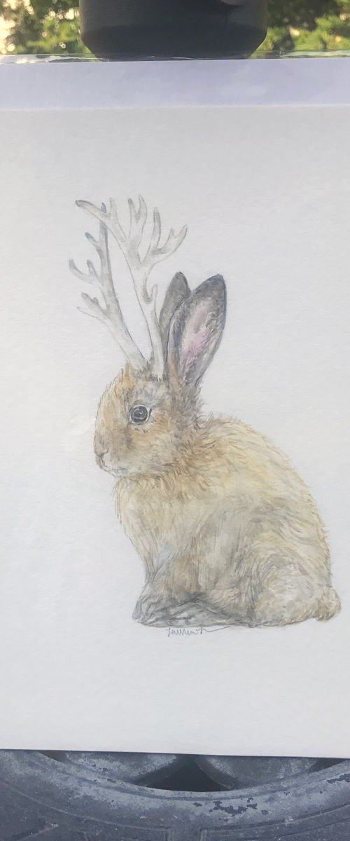 Jackalope Original Watercolor by Lauren Rogoff