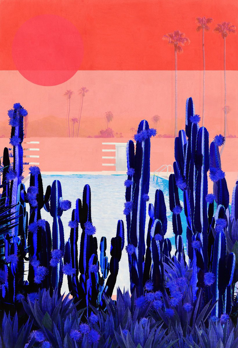 Surrealistic Landscape Photograph By Nadia Attura, 28 X 39", Cactus Palms, Original Artwork