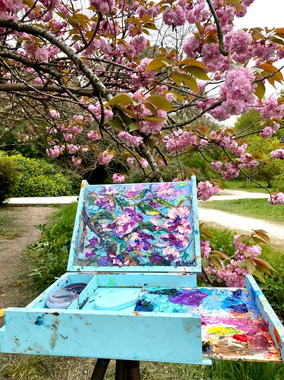 "Sakura"