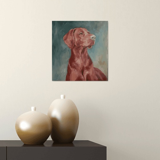 Vizsla