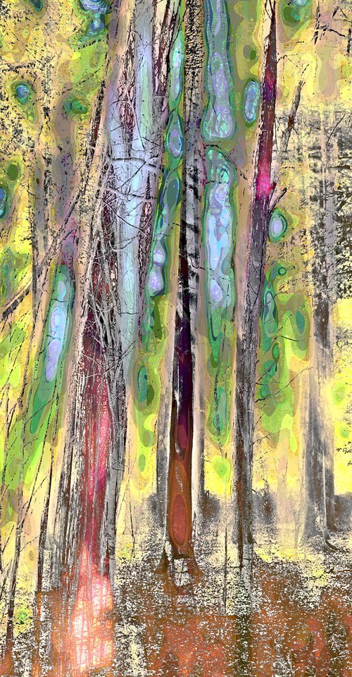 Mysterious Forrest opus 17 by Geert Lemmers FPA