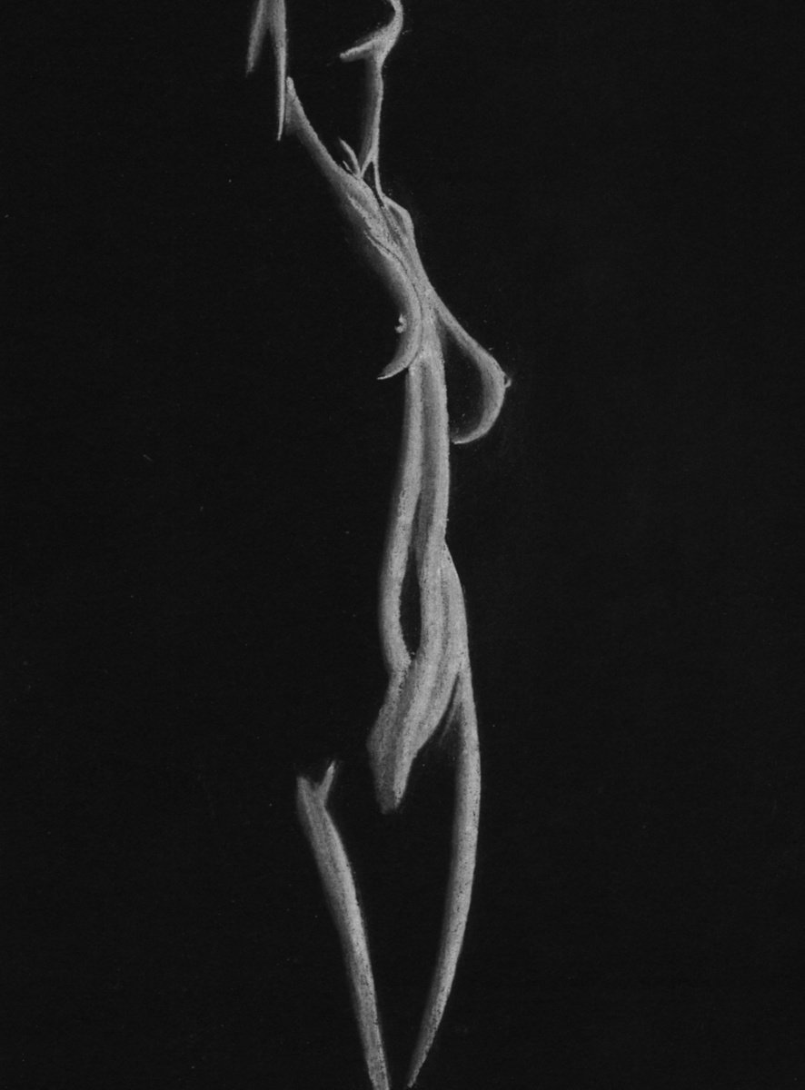 Shadow Series 2021 h by Paul Stowe
