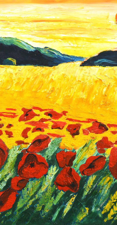 Red poppies in the sun by Pol Henry Ledent