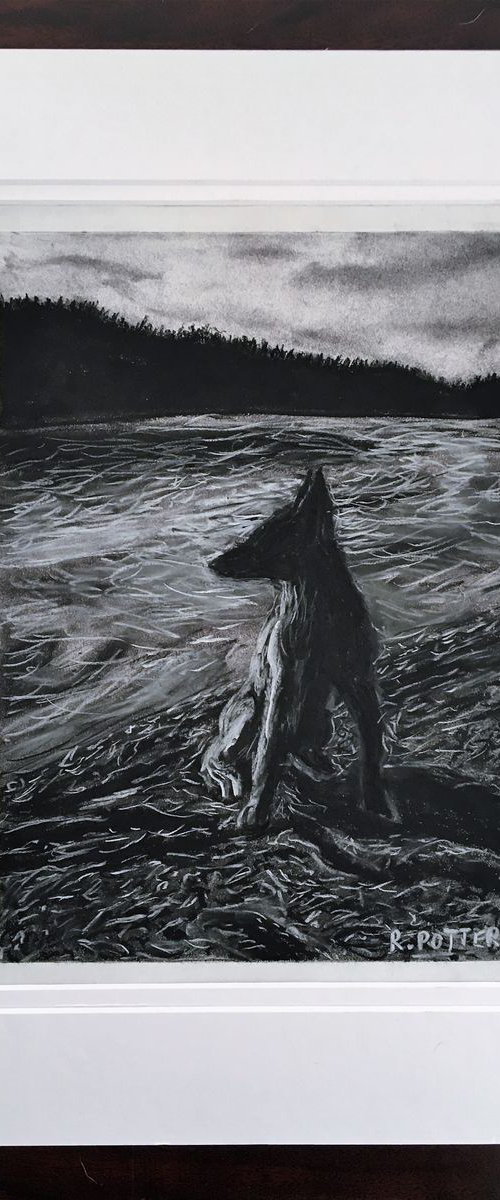 Malinois Hiking by Robbie Potter