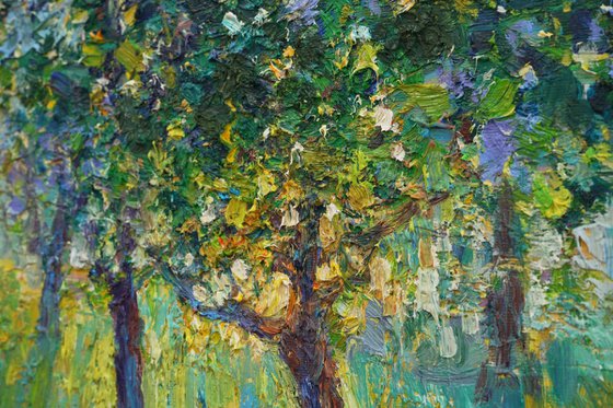 Evening garden