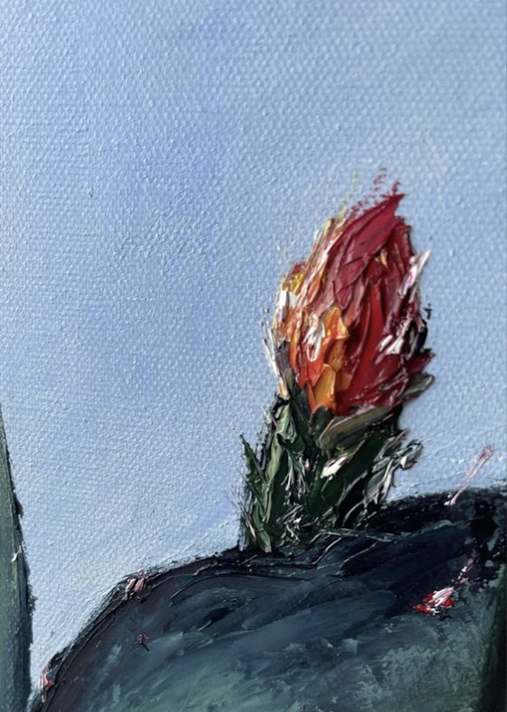 Blooming